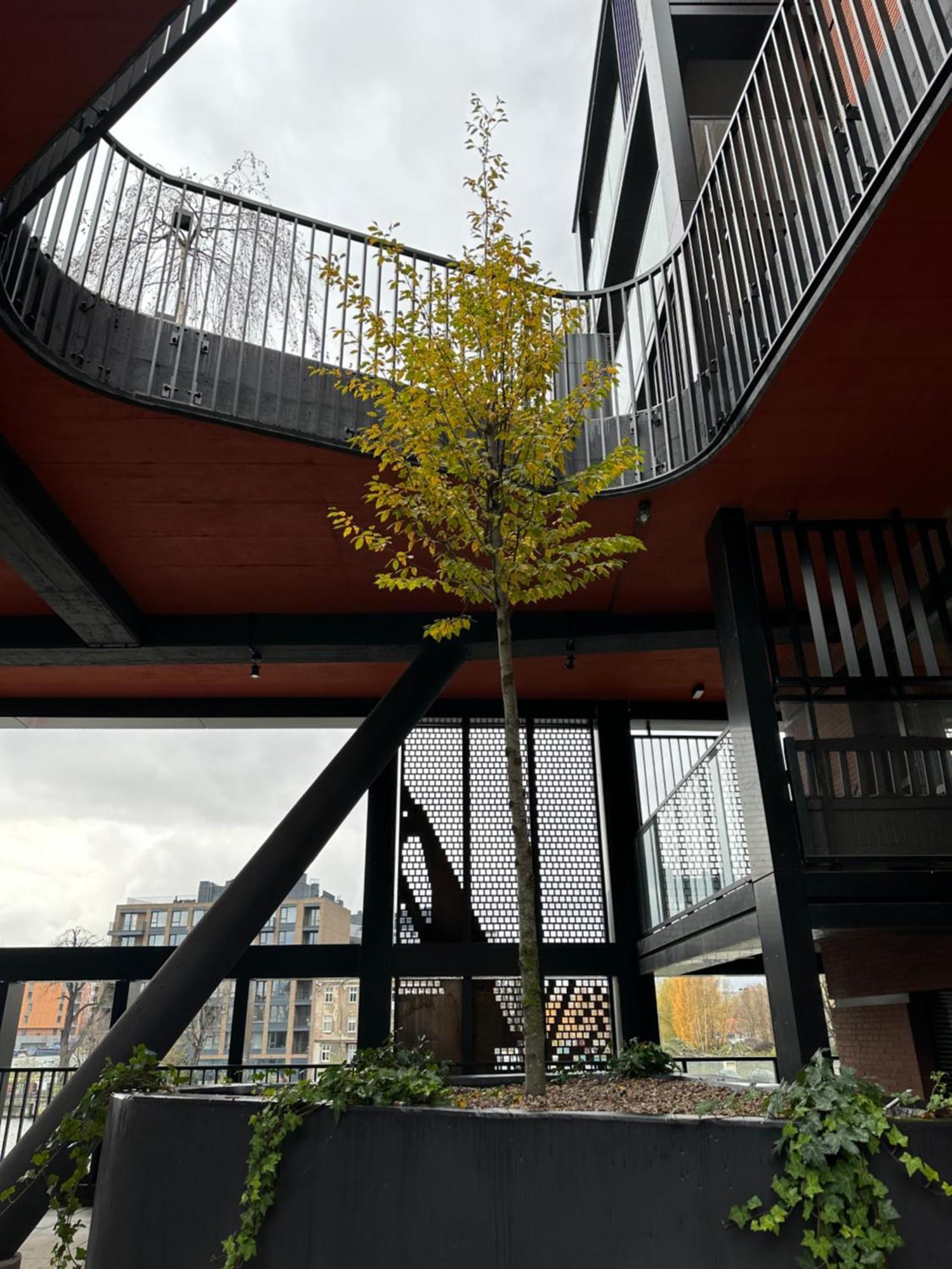 Eak Apartments-Nadmotlawie Gdansk Bagian luar foto